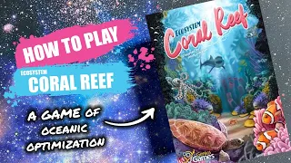 How to Play Ecosystem Coral Reef | Board Game Rules & Instructions