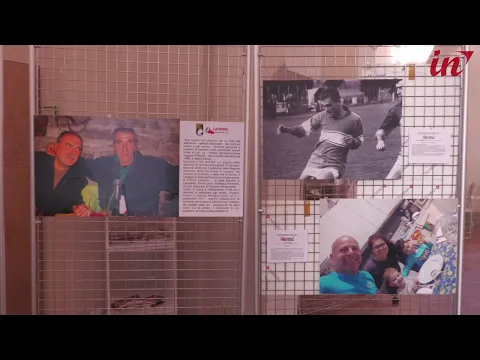 <span style="color:var(--accent)">Video:</span> ‘Non numeri ma persone’: a Palazzo Ducale la mostra per sensibilizzare alla sicurezza sul lavoro