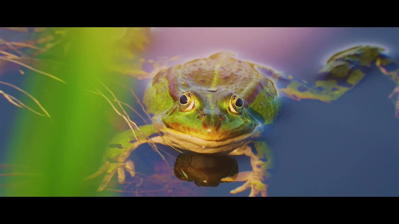 Rekultivierung Deponie Leigrueb 2021