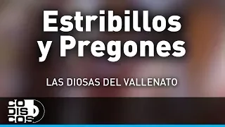 Estribillos y Pregones, Las Diosas Del Vallenato - Audio