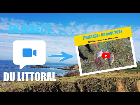 Vignette de la vidéo