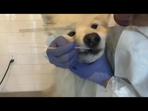 youtube-video-thumbnail