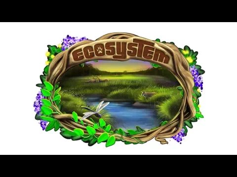 Ecosystem Rules Video