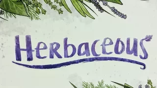 Herbaceous - Full Solo Playthrough