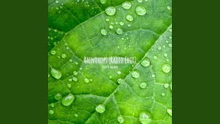 Raindrops (Radio Edit)