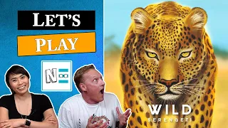 WILD SERENGETI Live Board Game Playthrough #106