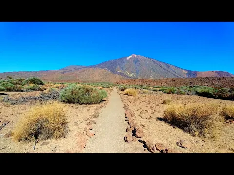 youtube-video-thumbnail