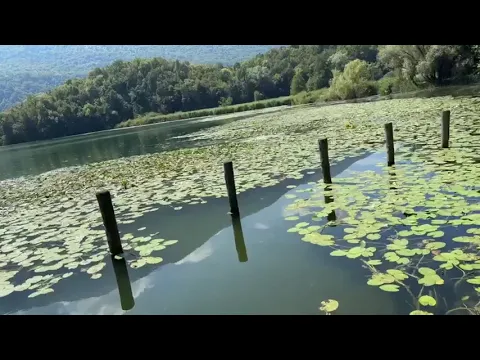 Youtube Preview