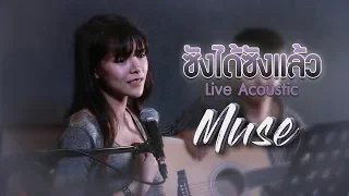 ซังได้ซังแล้ว - มิ้วส์ อรภัสญาน์【Live Acoustic】