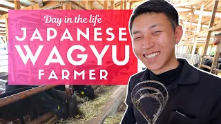 Day in the Life of a Japanese Wagyu Beef Farmer Day in the Life of a Japanese Wagyu Beef Farmer