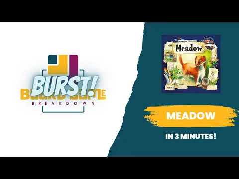 Board Game Breakdown BURST - Meadow