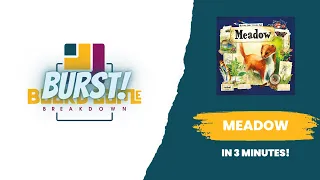 Board Game Breakdown BURST - Meadow