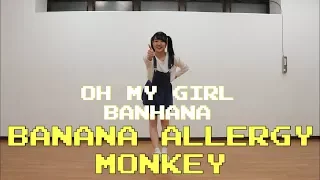 OH MY GIRL BANHANA ( 오마이걸 반하나 ) / Banana allergy monkey ( 바나나 알러지 원숭이 ) DanceCover by ponchan