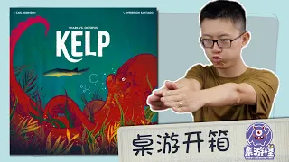 【桌游开箱】Kelp 鲨鱼大战章鱼 | 双人不对称