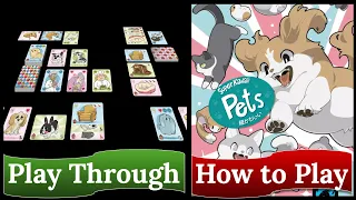 Super Kawaii Pets: How to Play & Play Through