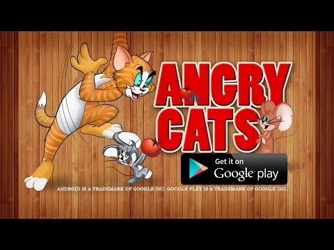 Video dari Angry Cats