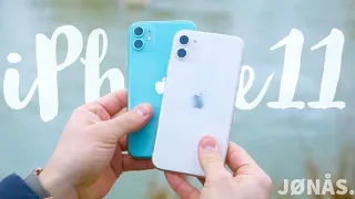 iPhone 11 (grün) Alltagstest - 2020 noch immer das Beste?