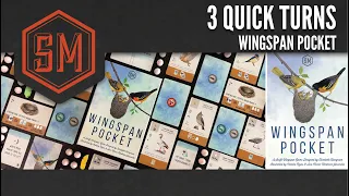 Wingspan Pocket Gameplay: 3 Quick Turns