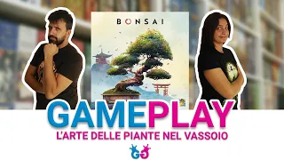 Bonsai, Partita Completa meditando e coltivando un albero in miniatura!