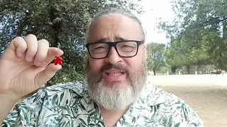 Un paseo por el parque y CARCASSONNE