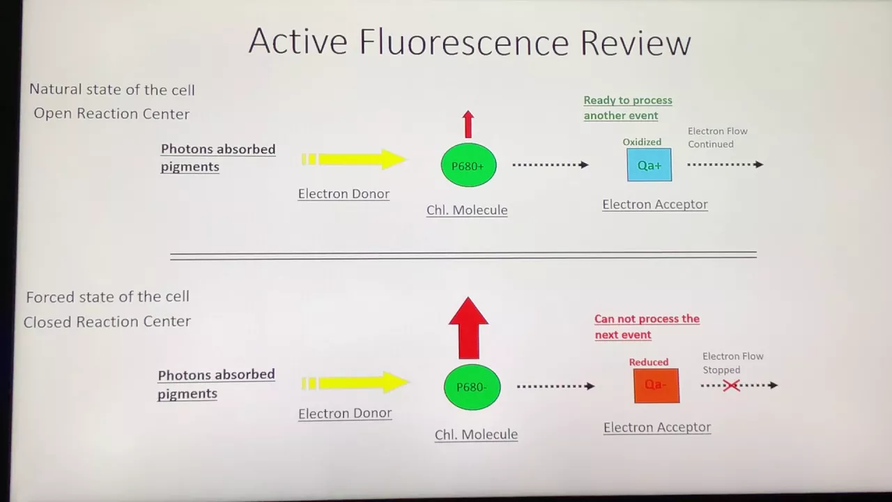 AquaFlash: What is Active Fluorescence