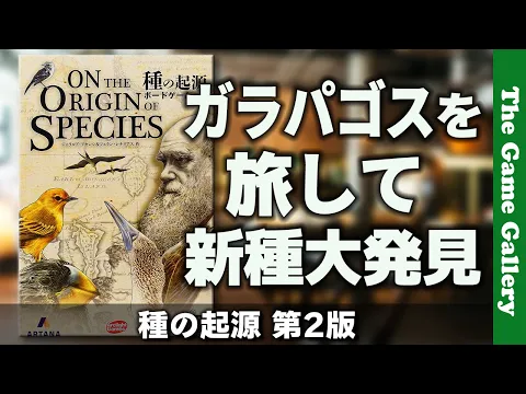 【種の起源】ガラパゴス諸島を旅しながら新種を発見するシンプルだけど悩ましい中量級ゲーム / TGG ボードゲーム