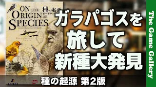 【種の起源】ガラパゴス諸島を旅しながら新種を発見するシンプルだけど悩ましい中量級ゲーム / TGG ボードゲーム