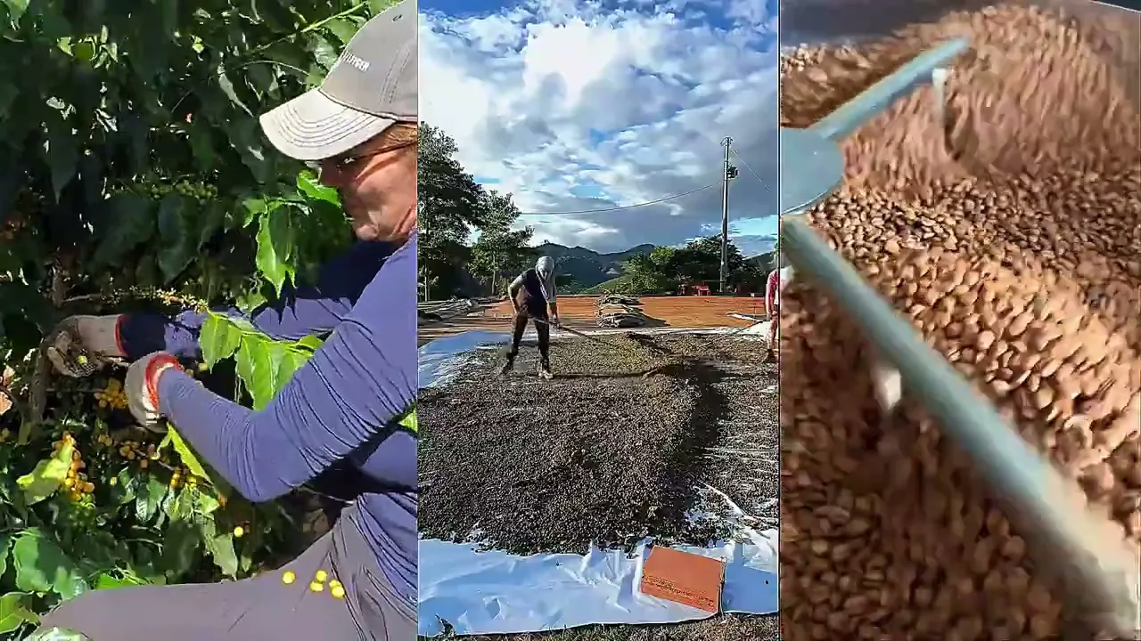 Vídeo de Eliana Piloto