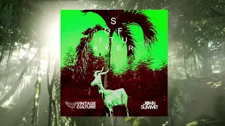 Sofi Tukker - Drinkee (Vintage Culture & John Summit Remix)