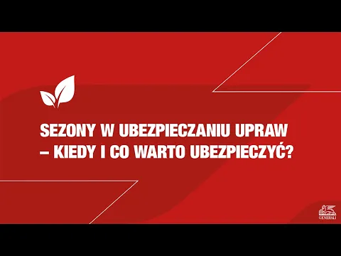 youtube-video-thumbnail
