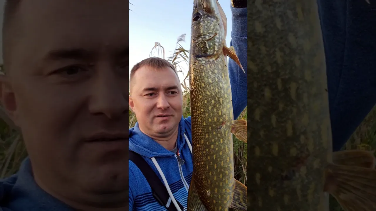 rybalka