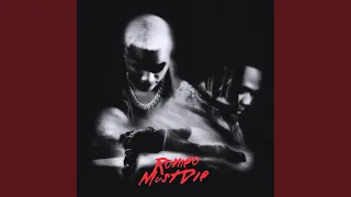 Romeo Must Die (RMD)