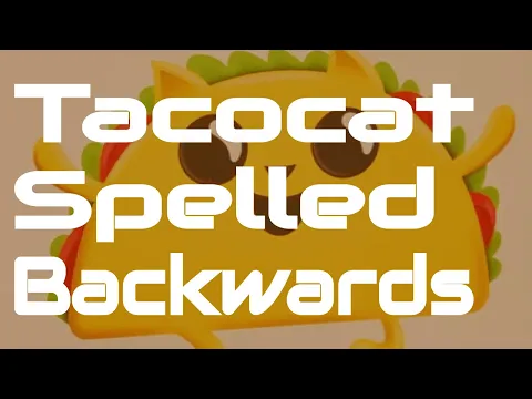 How to Play Tacocat Spelled Backwards | a tug of war trick taker for two | Skip Solo