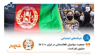ادعای شاخ‌دار درباره جمعیت مهاجران افغانستانی در ایران