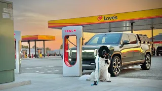 Battery Fault & Charging Bugs On My Rivian Cross Country Road Trip! Walter The Newf & I Drive To CO