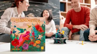 Hummingbirds Board Game | Overview