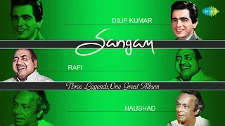 Dilip Kumar | Mohammed Rafi | Naushad | Top Songs Playlist | Do Sitaron Ka | Madhuban Mein Radhika