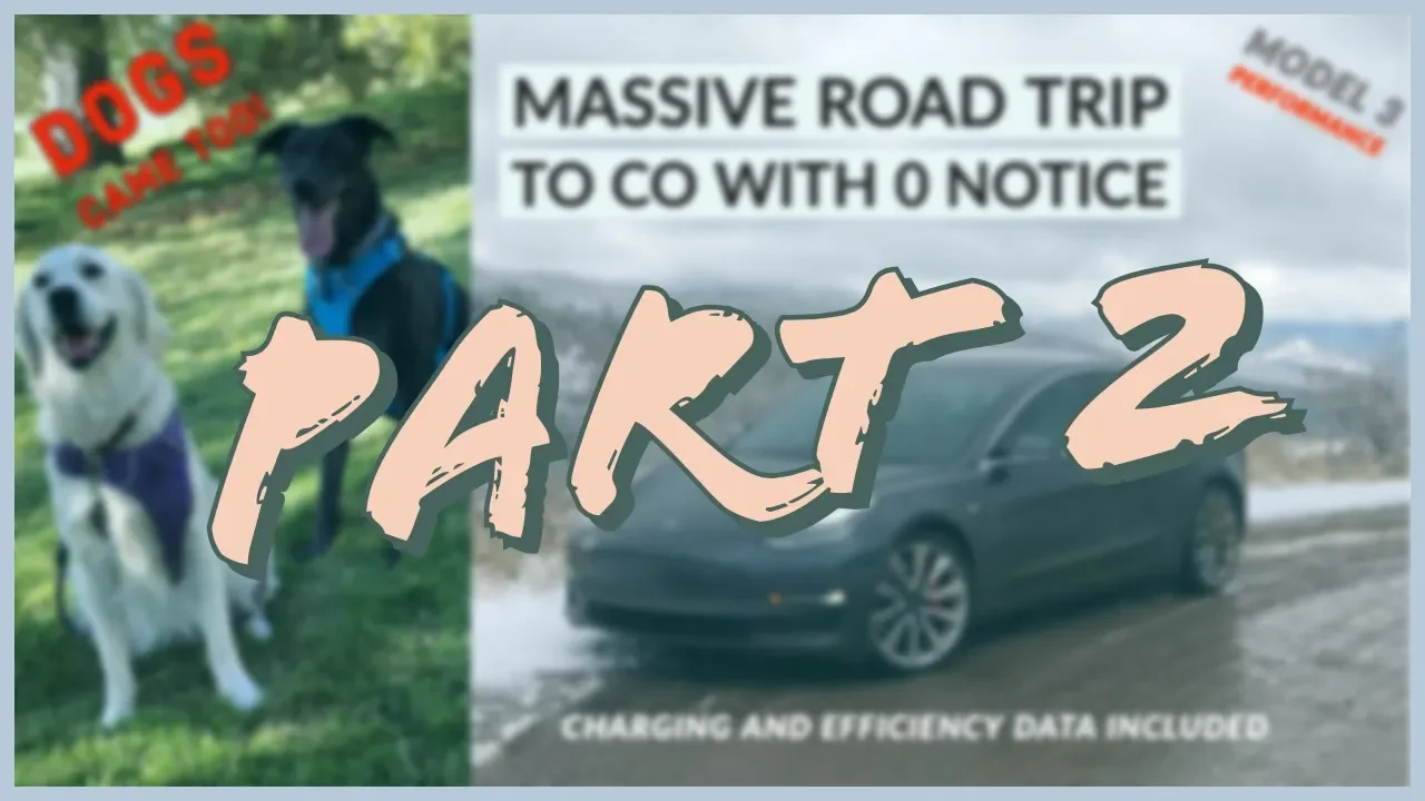 Pt. 2/2 | Model 3 | Massive Spontaneous Road Trip Across the Country!
