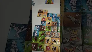 TheFanily - Zoomies board game preview