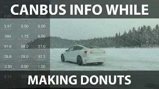 Tesla Model 3 making donuts on ice lake