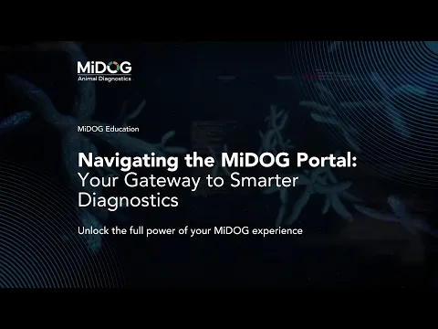 youtube-video-thumbnail