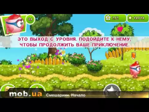 Video của KiKORiKi Free