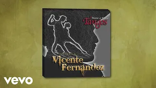 Vicente Fernández - El Día Que Me Quieras (Cover Audio)