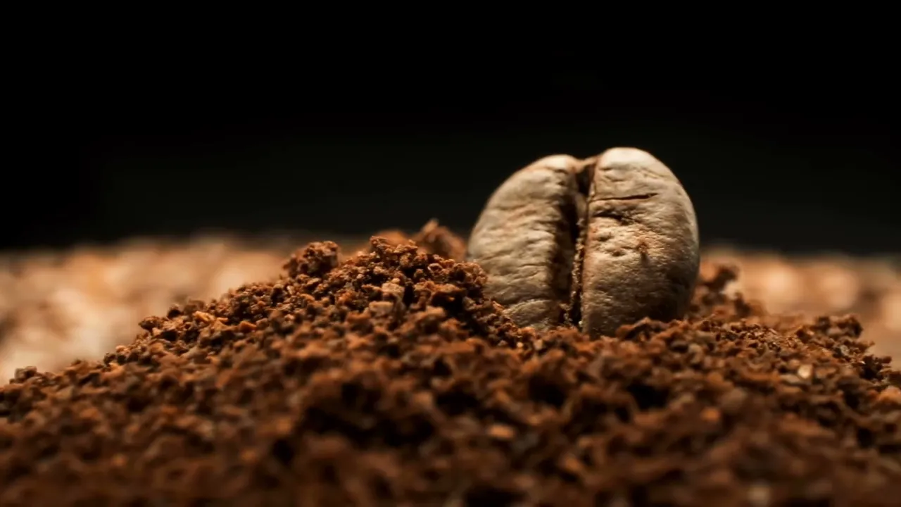 Vídeo de Cerrado Café