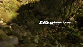 Fakear - Inner Forest (Official Visualizer)