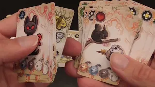 Video Review