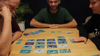 Lets Play Fish n Flips
