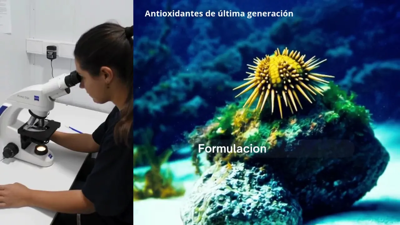 Video de Promarine Antioxidants®️