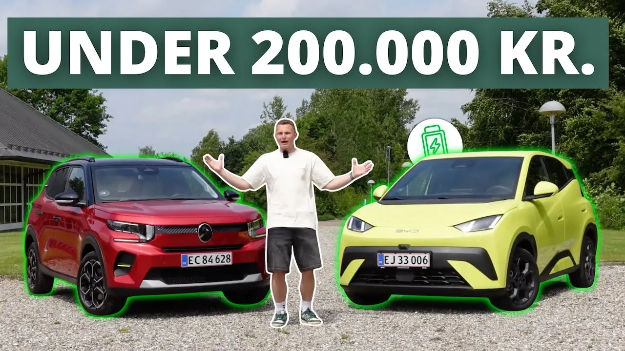 Et billigt (og godt) alternativ til Renault 5? Citroën Ë-C3 VS BYD Dolphin Surf