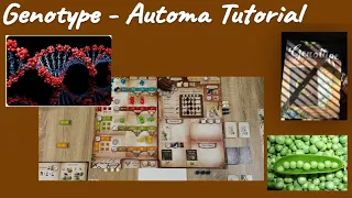 Genotype: An Automa Tutorial